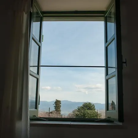 Andrianna's * Pano Akourdalia